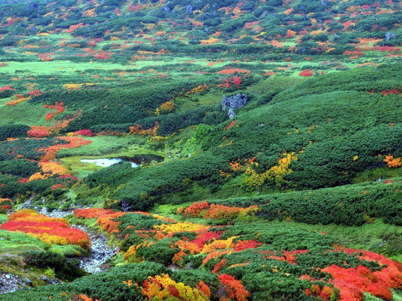 Asahidake Yumoto Yukomanso Higashikawa Exterior foto